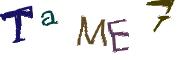 CAPTCHA de imagem