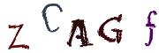 CAPTCHA de imagem