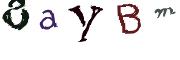 CAPTCHA de imagem